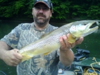 GenoTrout2011